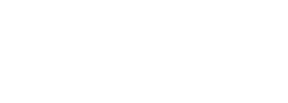 Aone Painter